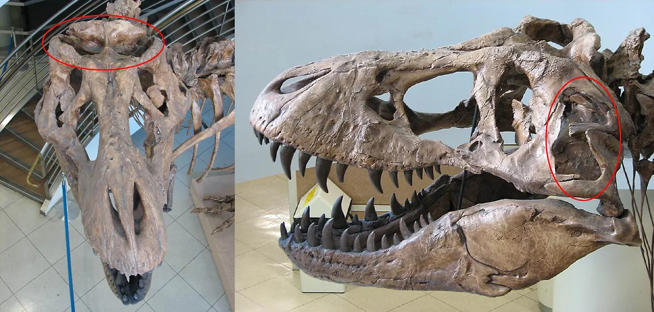 img.jpg?credential=yqXZFxpELC7KVnFOS48ylbz2pIh7yKj8&expires=1774969199&allow_ip=&allow_referer=&signature=f42zhisu1Drqvzxcji3OmNSQX3E%3D