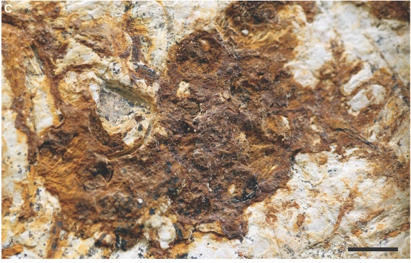 img.png?credential=yqXZFxpELC7KVnFOS48ylbz2pIh7yKj8&expires=1774969199&allow_ip=&allow_referer=&signature=I8DaBsvVmCPy7EBKt6O3ODKBszg%3D