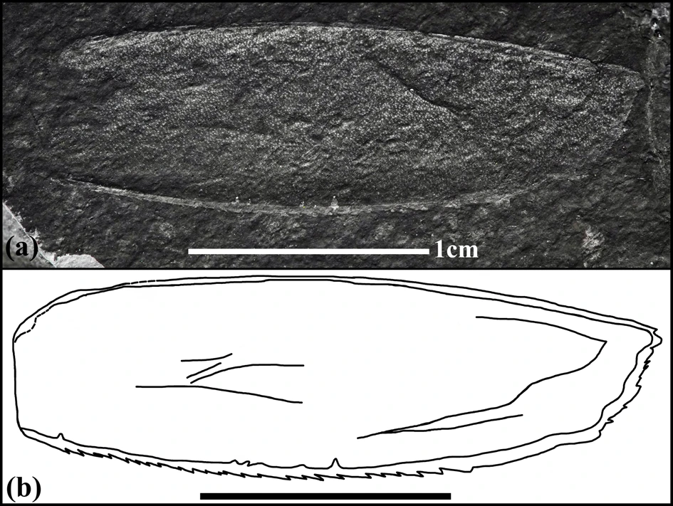 img.png?credential=yqXZFxpELC7KVnFOS48ylbz2pIh7yKj8&expires=1772290799&allow_ip=&allow_referer=&signature=td0bgBqwzCTNB9Ns8rE9tq2KYSA%3D