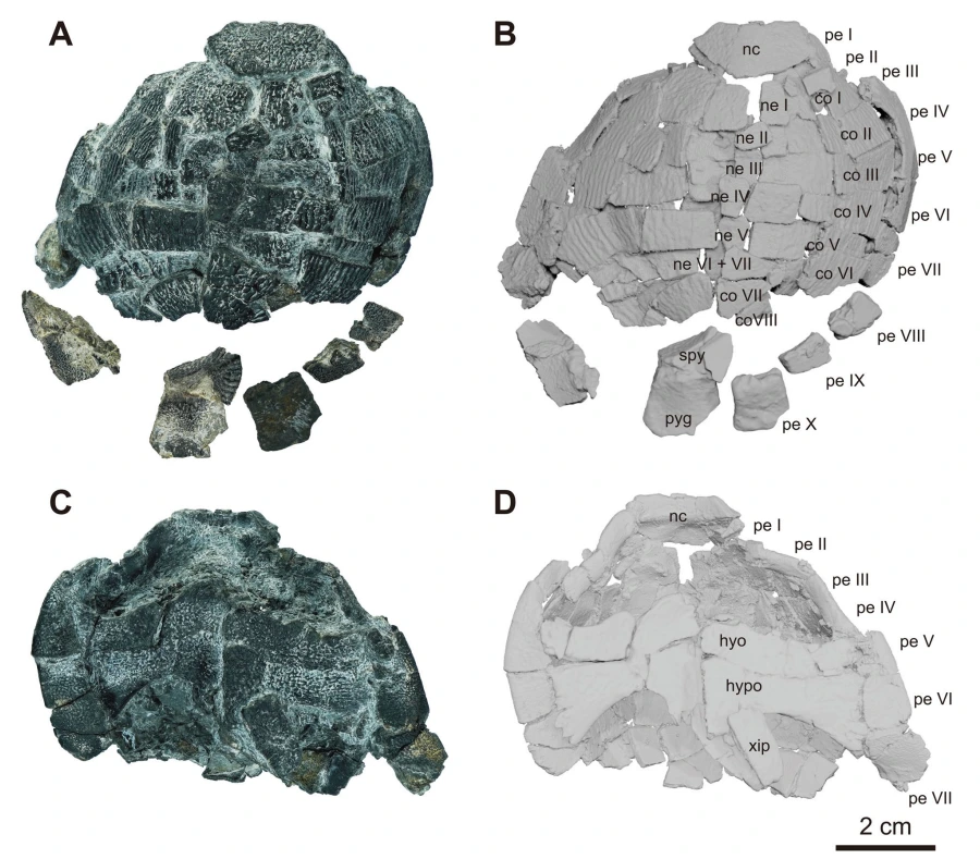 img.png?credential=yqXZFxpELC7KVnFOS48ylbz2pIh7yKj8&expires=1772290799&allow_ip=&allow_referer=&signature=PbnbHowJdnpzrcBvntw98CdFrx8%3D