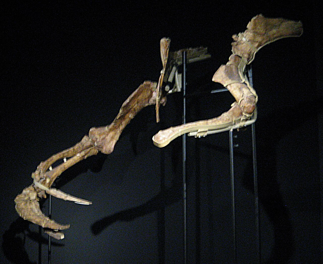 img.jpg?credential=yqXZFxpELC7KVnFOS48ylbz2pIh7yKj8&expires=1772290799&allow_ip=&allow_referer=&signature=CtdEtNk4b6N4u2IsOhV4e8ia2eA%3D