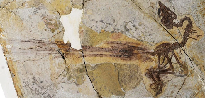 img.jpg?credential=yqXZFxpELC7KVnFOS48ylbz2pIh7yKj8&expires=1774969199&allow_ip=&allow_referer=&signature=kLsVMLgbsOTc6KmZYYRTCzOS65A%3D