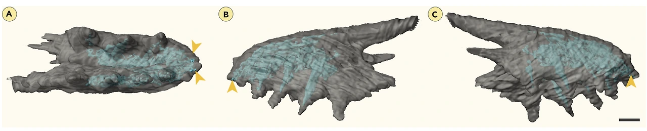 img.png?credential=yqXZFxpELC7KVnFOS48ylbz2pIh7yKj8&expires=1774969199&allow_ip=&allow_referer=&signature=b%2FtyrkFsMnB4qQCwan8OMnxCEjs%3D