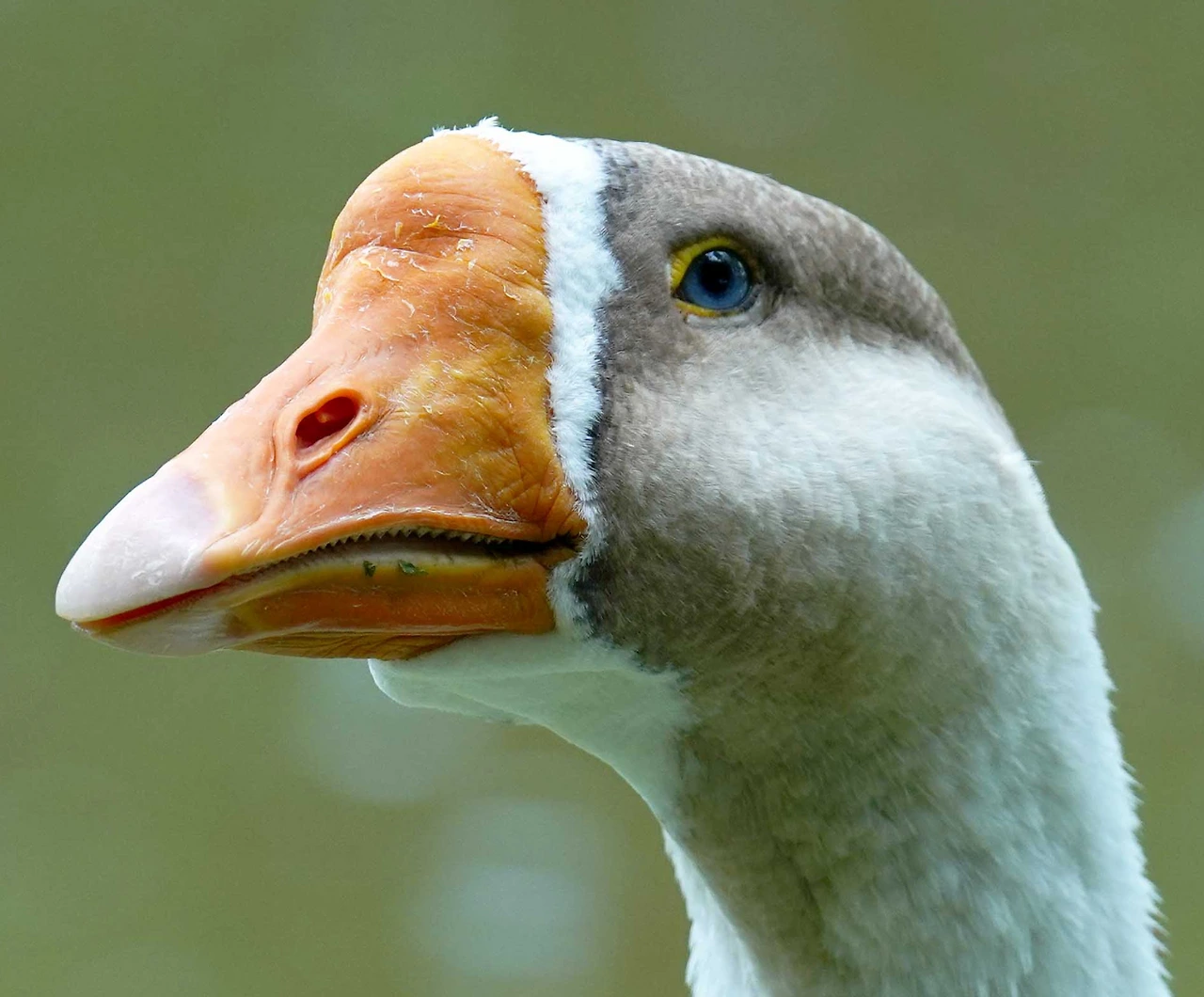 img.png?credential=yqXZFxpELC7KVnFOS48ylbz2pIh7yKj8&expires=1774969199&allow_ip=&allow_referer=&signature=jQJHax5mAQXwqHAc62lepEgDIPE%3D