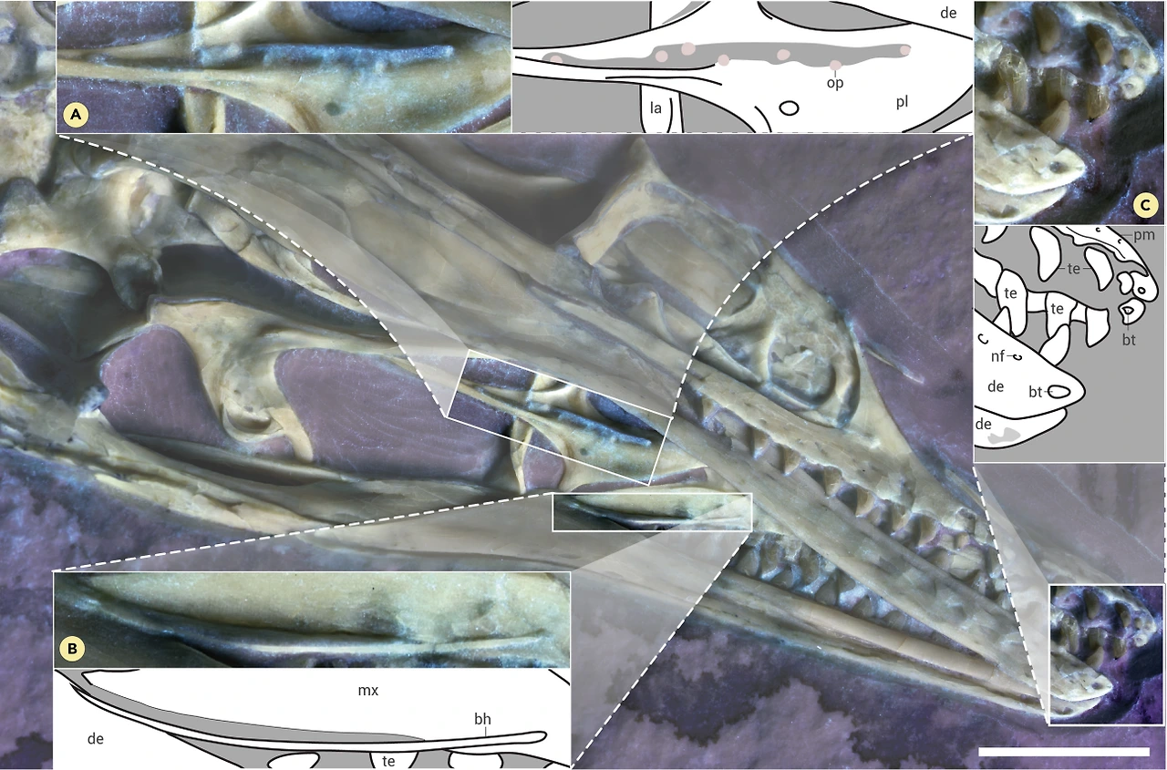 img.png?credential=yqXZFxpELC7KVnFOS48ylbz2pIh7yKj8&expires=1774969199&allow_ip=&allow_referer=&signature=%2FhiiVw%2BEJ3ZeC2%2FJhDzOhUa%2FSTk%3D