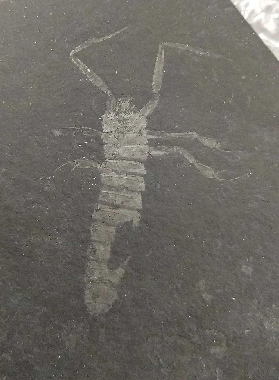 img.jpg?credential=yqXZFxpELC7KVnFOS48ylbz2pIh7yKj8&expires=1772290799&allow_ip=&allow_referer=&signature=AiIAuqVVGhnxsu8VCfz6ABWWrj4%3D