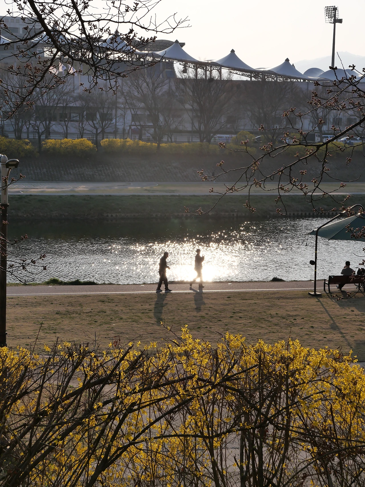 P1146536.JPG