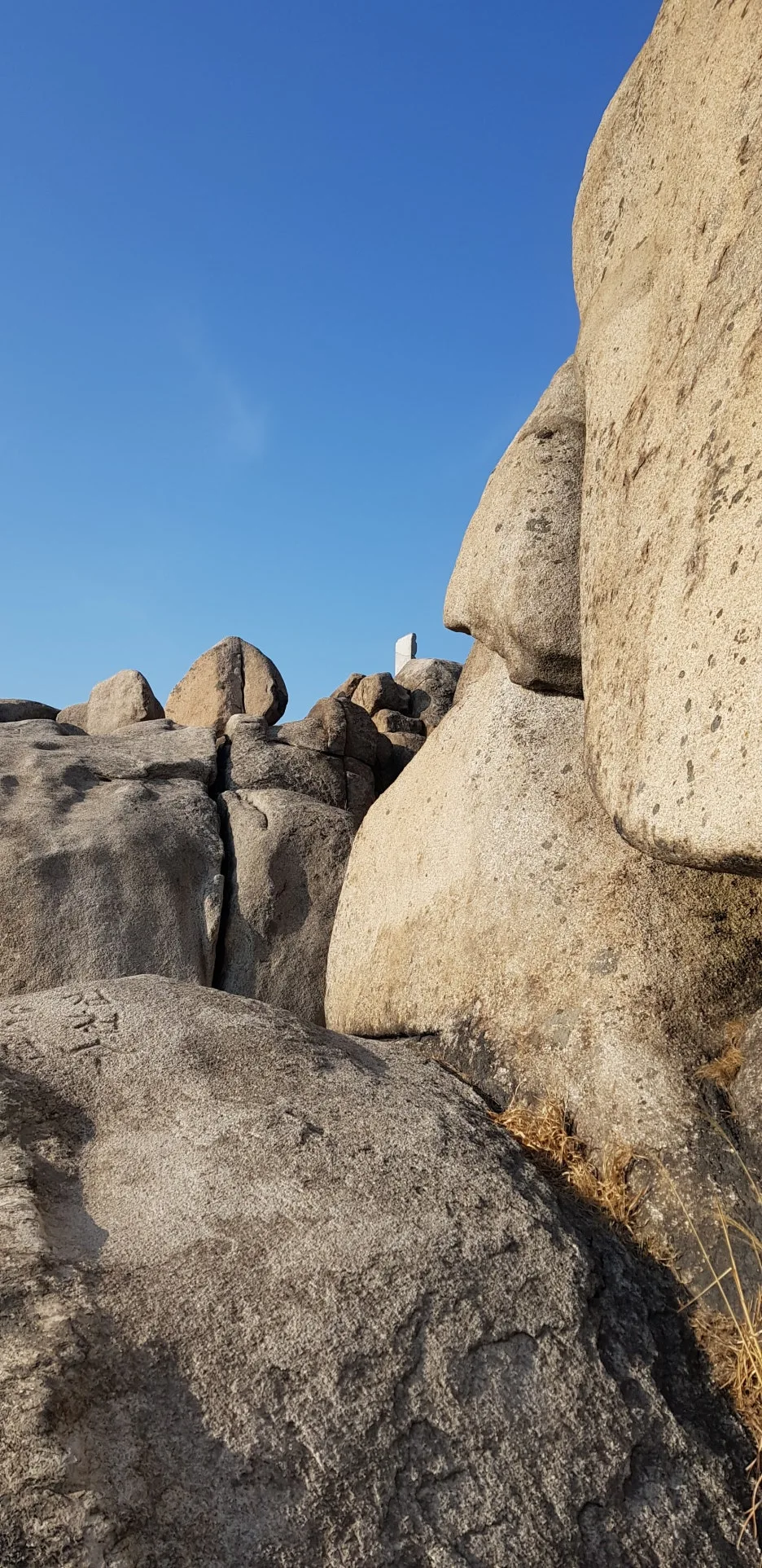 KakaoTalk_20260217_013630323.jpg?type=w1