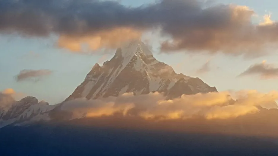 KakaoTalk_20260219_010101089.jpg?type=w1