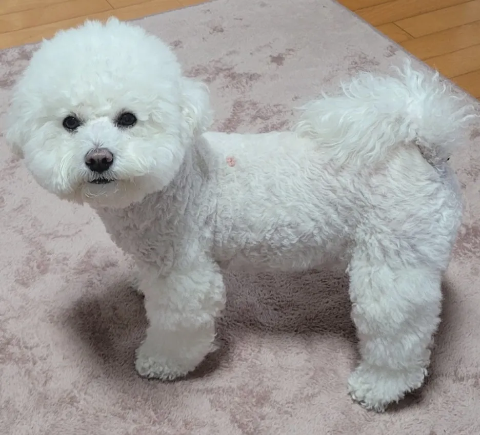 KakaoTalk_20260217_184344907.jpg?type=w1