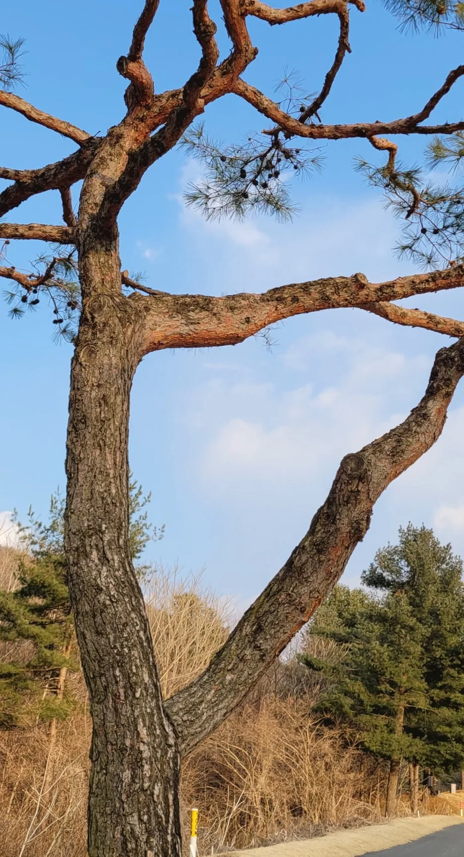 KakaoTalk_20260313_014017867.jpg?type=w1