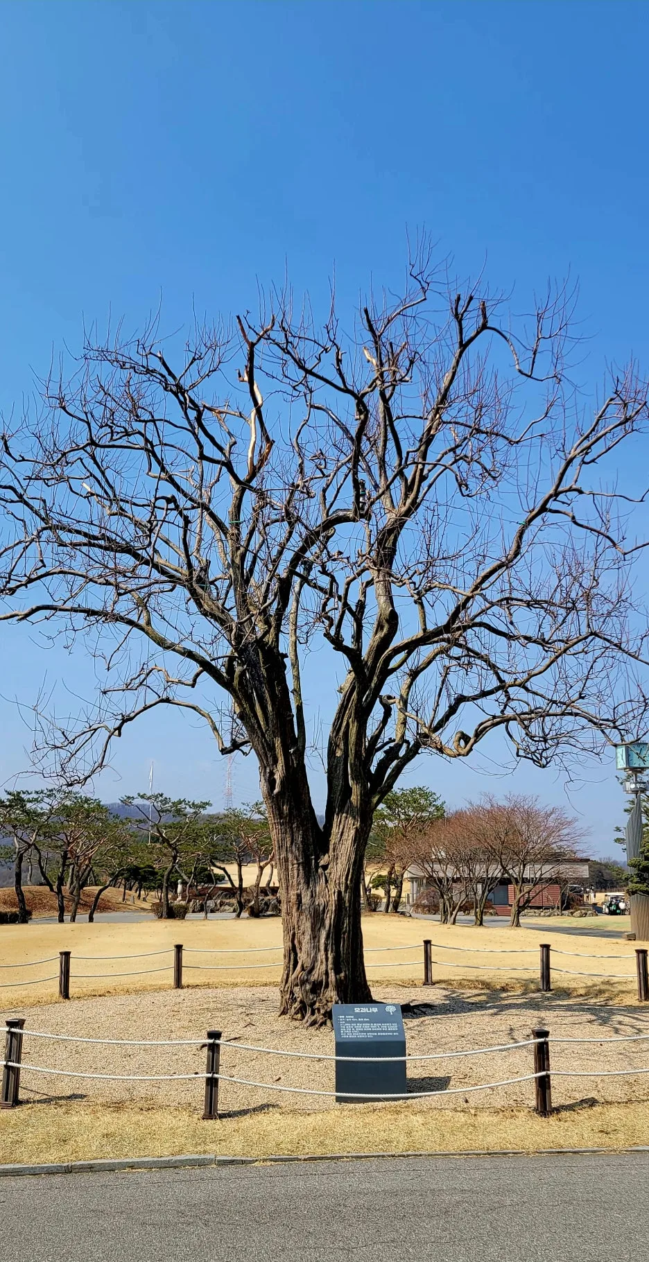 KakaoTalk_20260313_003617239_04.jpg?type=w1