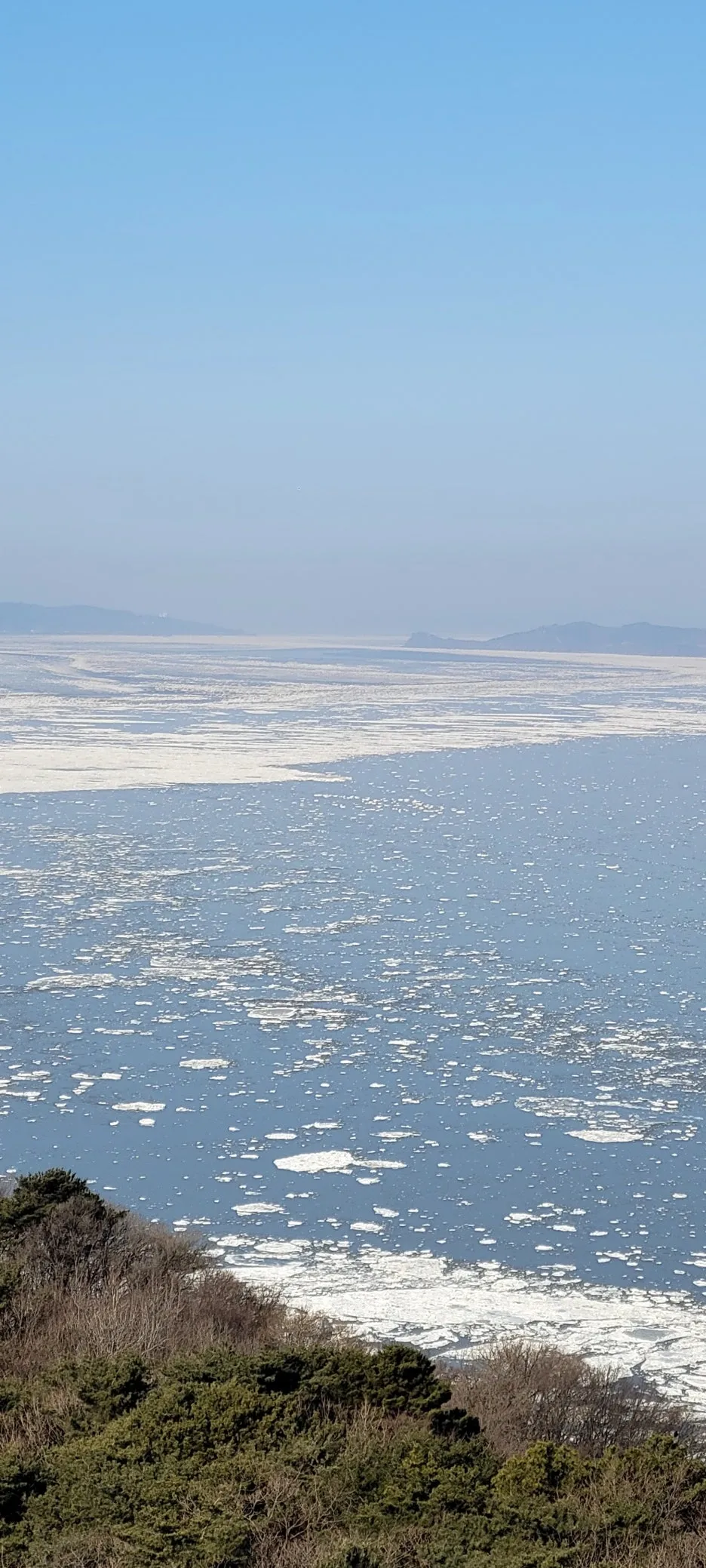 KakaoTalk_20260201_172024542.jpg?type=w1