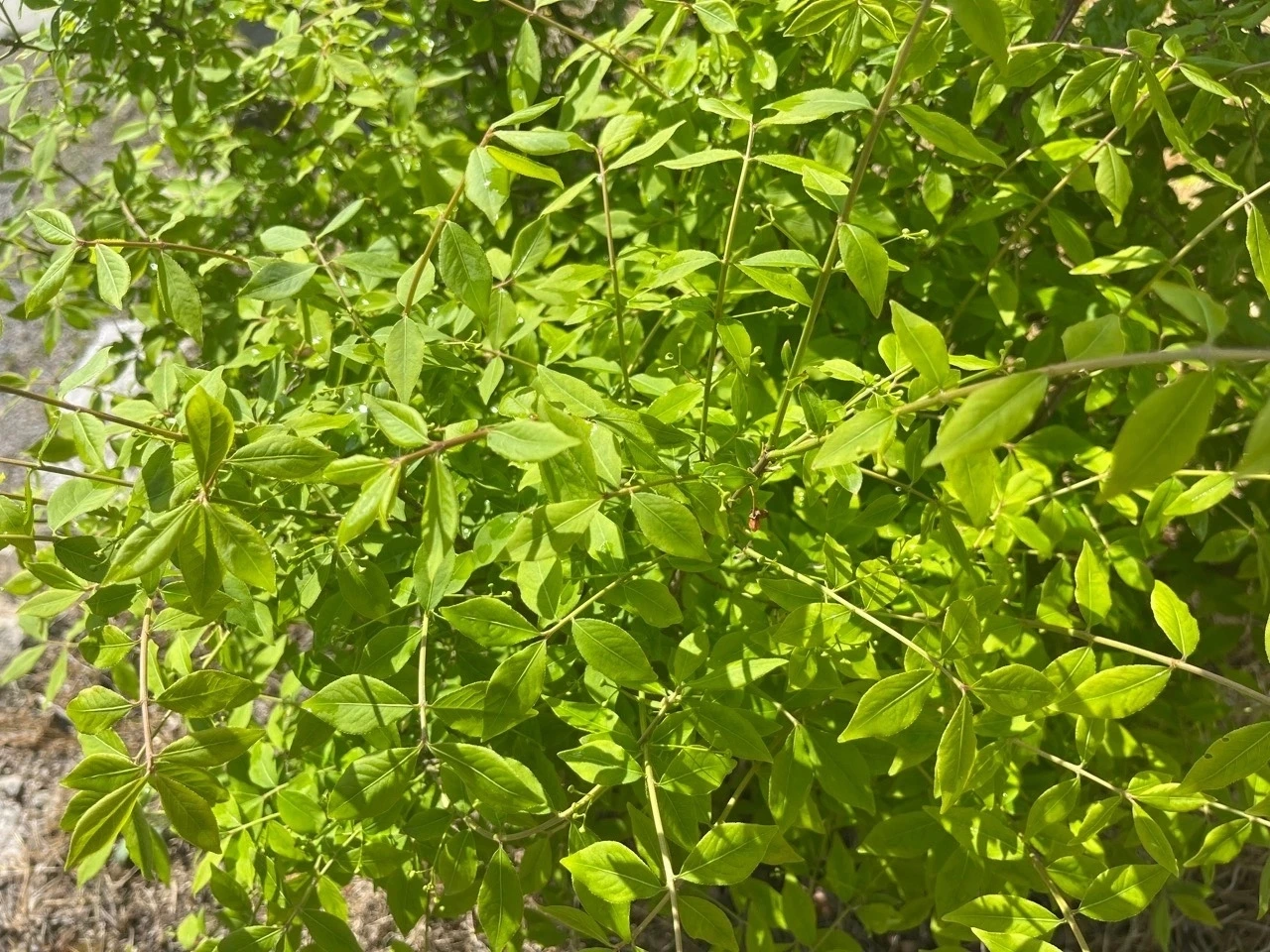 다운로드 (9) Large.jpeg