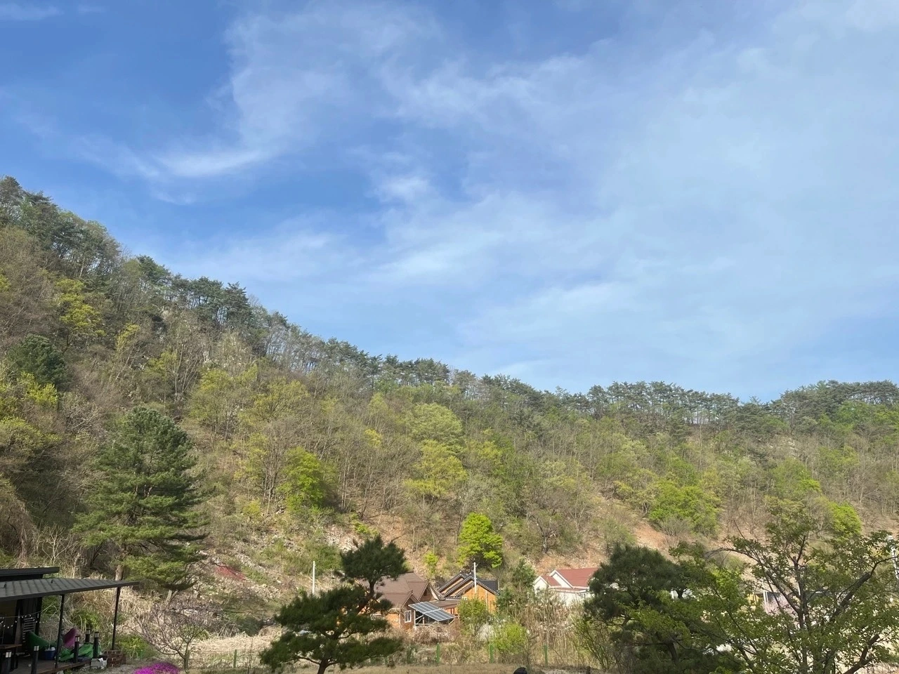 다운로드 (12) Large.jpeg