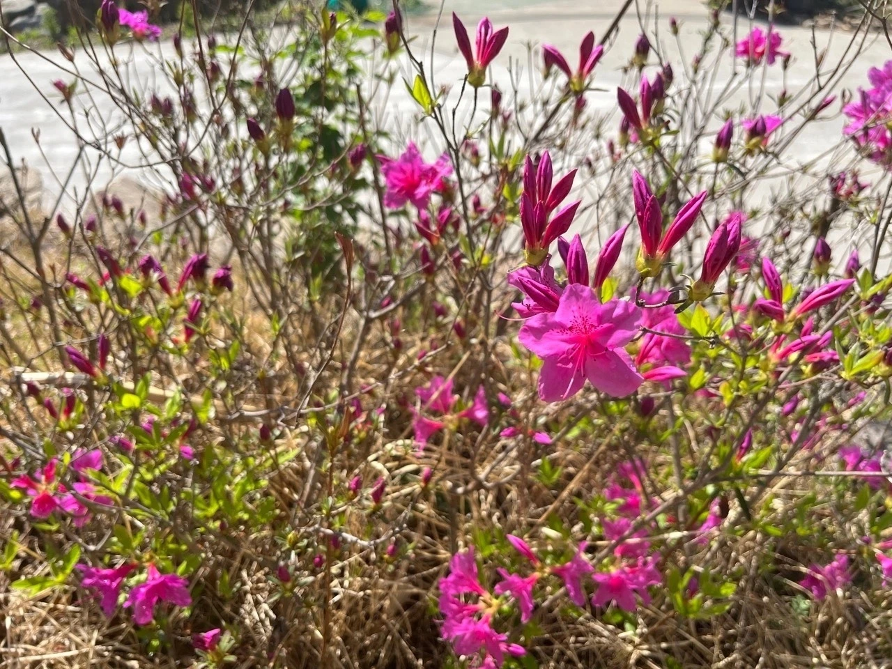 다운로드 (11) Large.jpeg