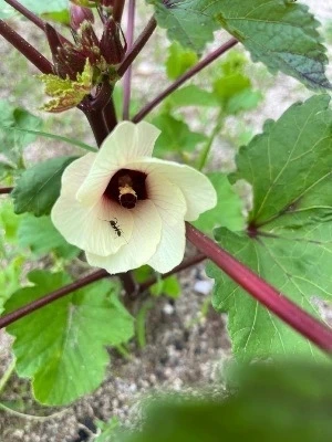 다운로드 Medium.jpeg