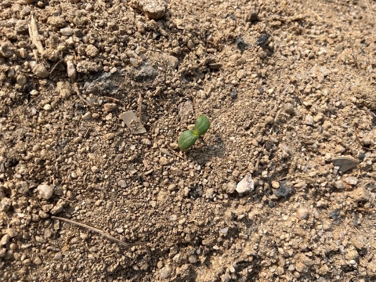 다운로드 (4) Large.jpeg