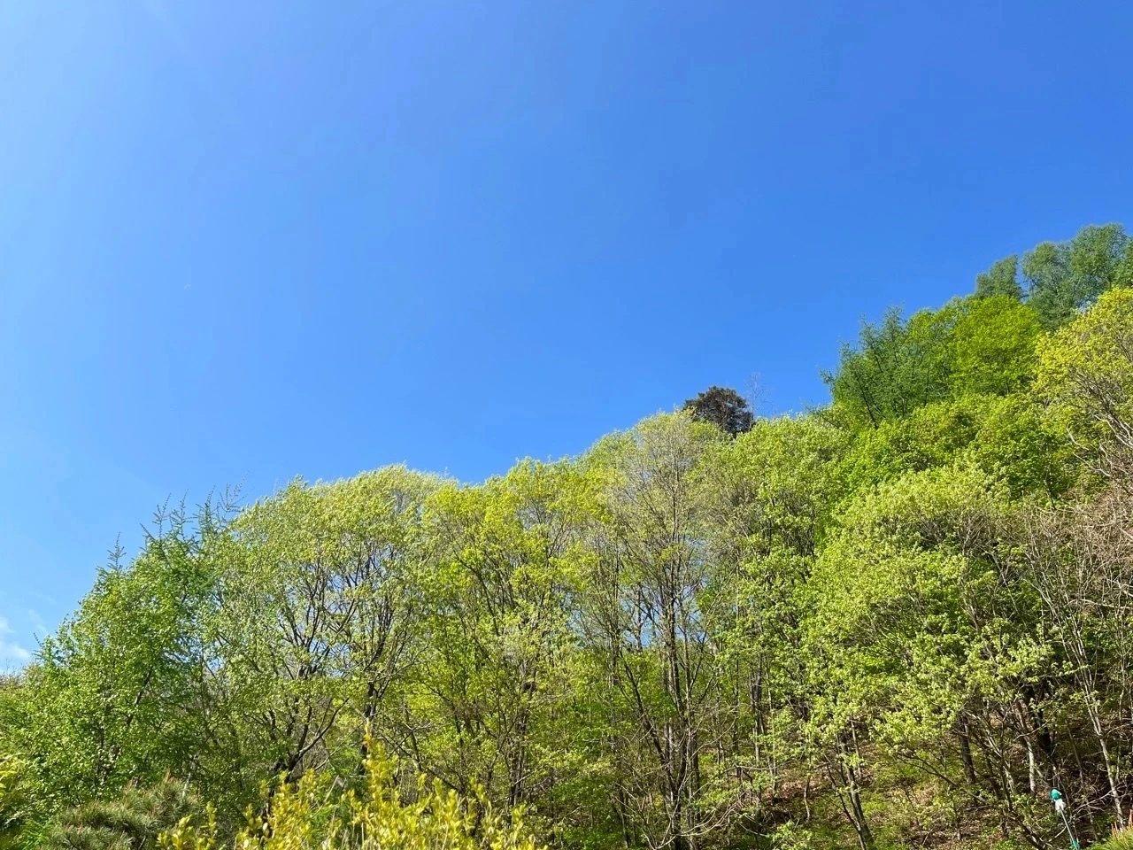 다운로드 (8) Large.jpeg