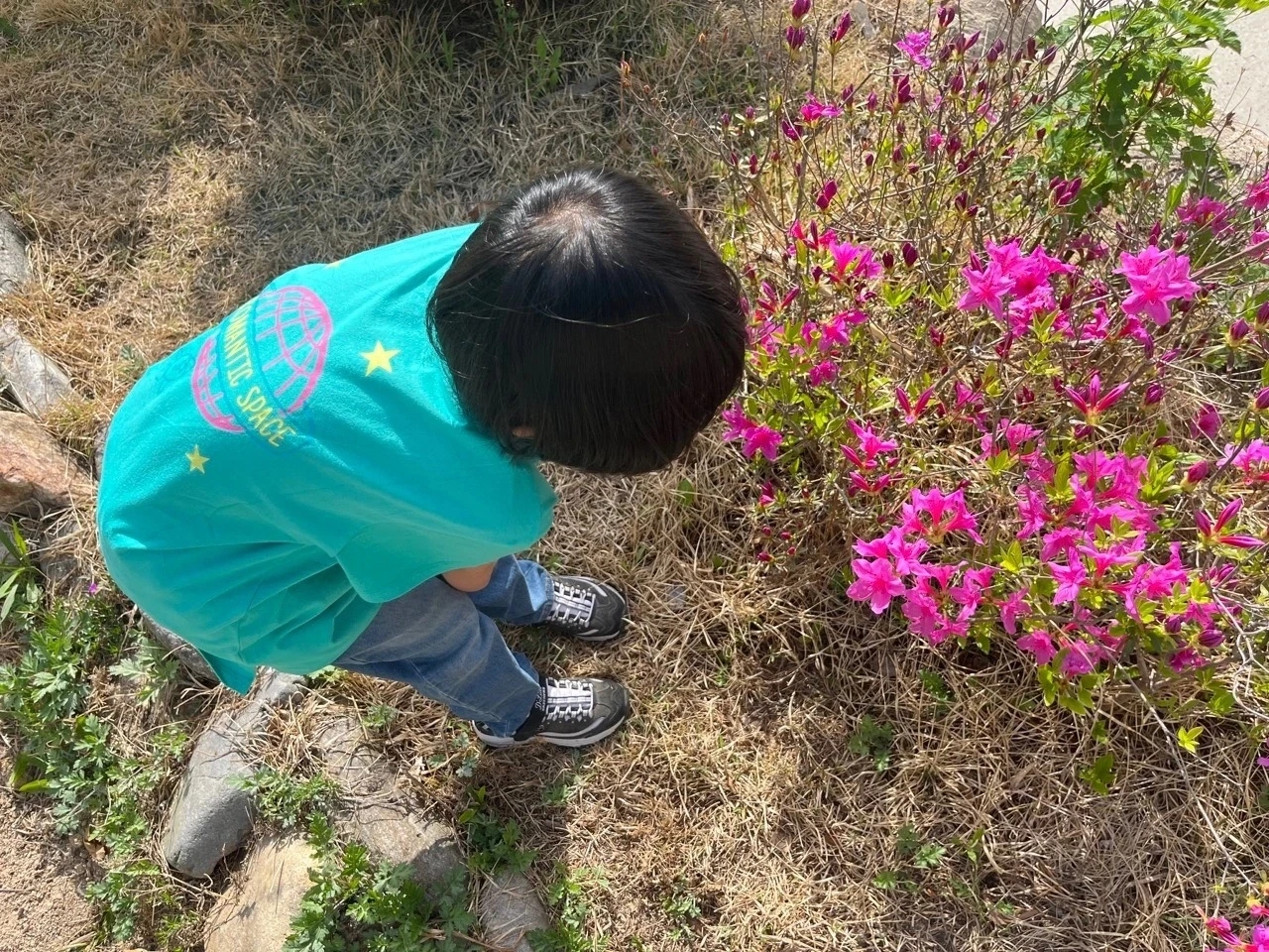 다운로드 (10) Large.jpeg