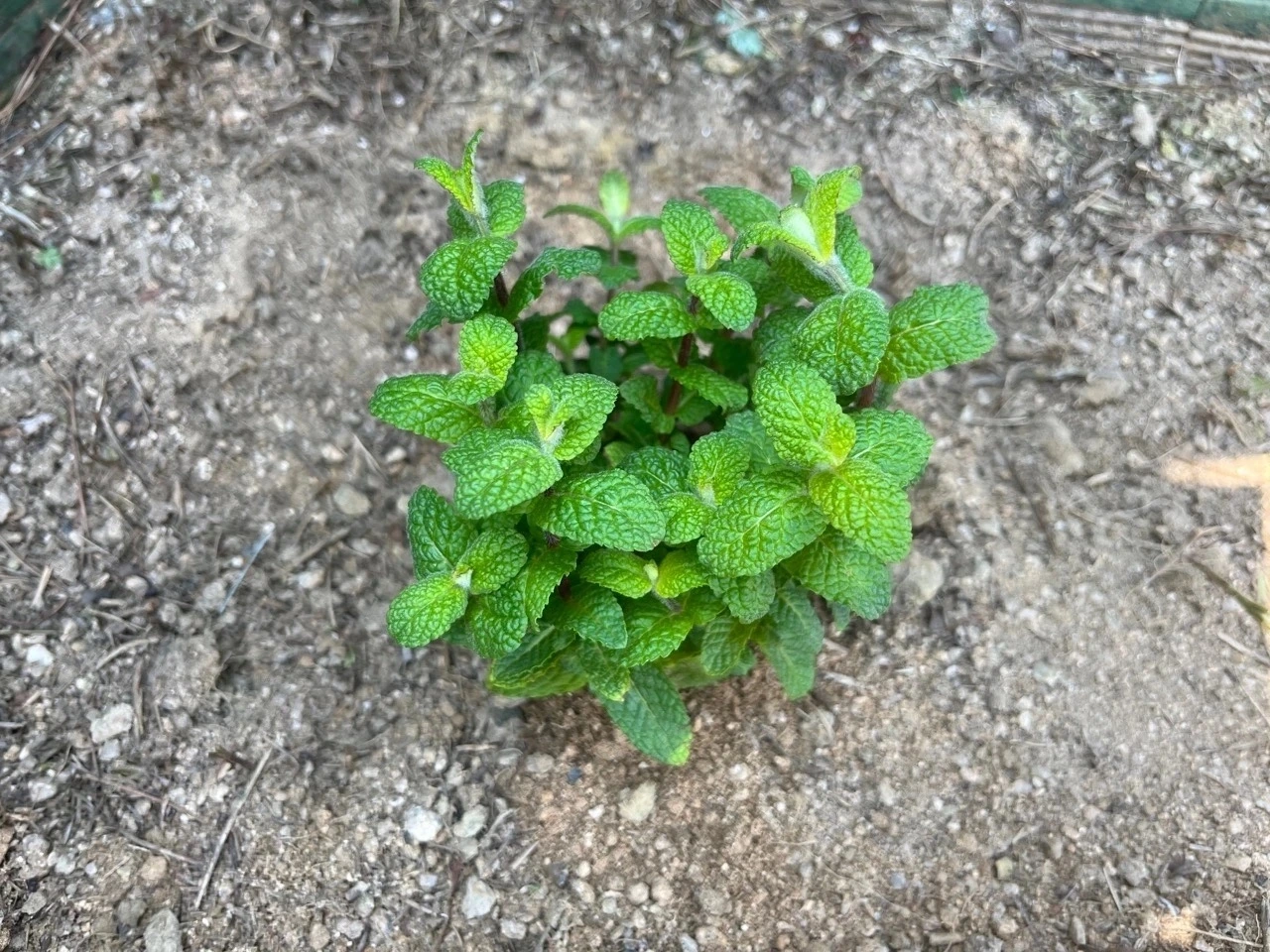 다운로드 Large.jpeg