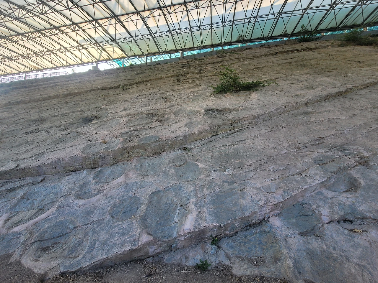 img.jpg?credential=yqXZFxpELC7KVnFOS48ylbz2pIh7yKj8&expires=1772290799&allow_ip=&allow_referer=&signature=PYCIEAurftmf4pCPecR1D0k04qg%3D