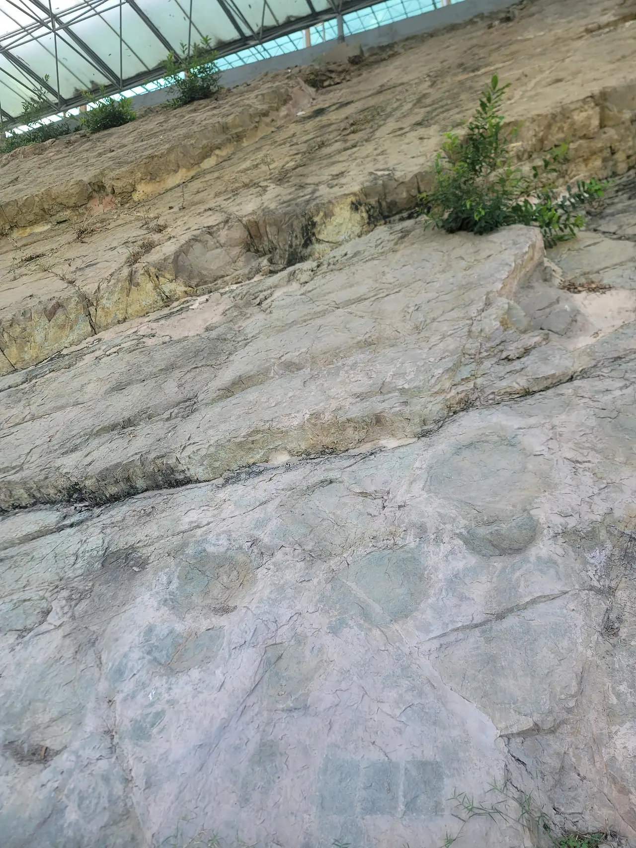 img.jpg?credential=yqXZFxpELC7KVnFOS48ylbz2pIh7yKj8&expires=1772290799&allow_ip=&allow_referer=&signature=ImxLmhrkcsGeT4Qsc4om4I%2Ba3b4%3D