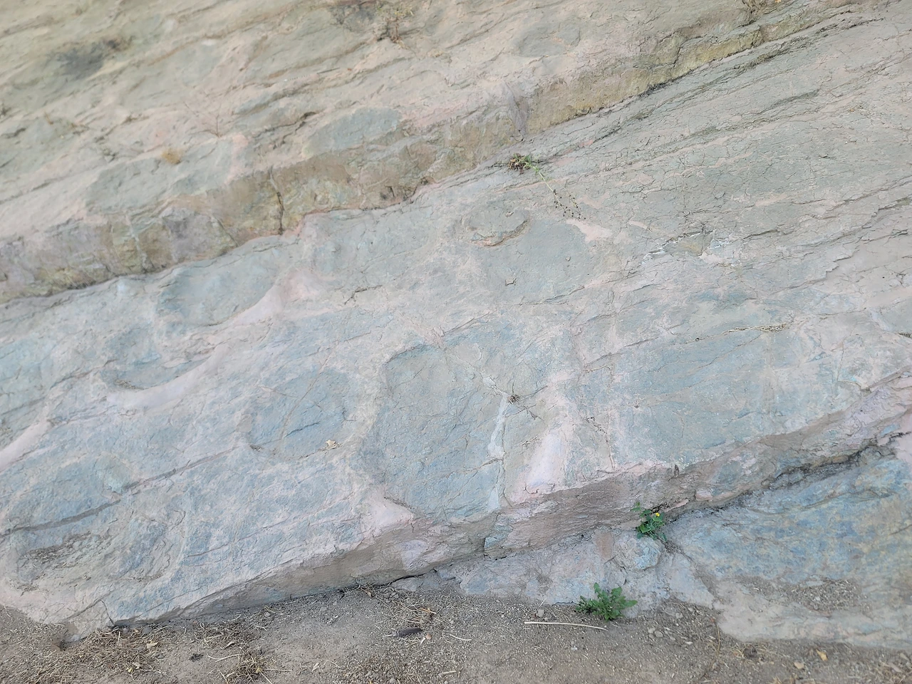 img.jpg?credential=yqXZFxpELC7KVnFOS48ylbz2pIh7yKj8&expires=1772290799&allow_ip=&allow_referer=&signature=BRXxoGioYpMczKjV4XaOpOZo8kE%3D