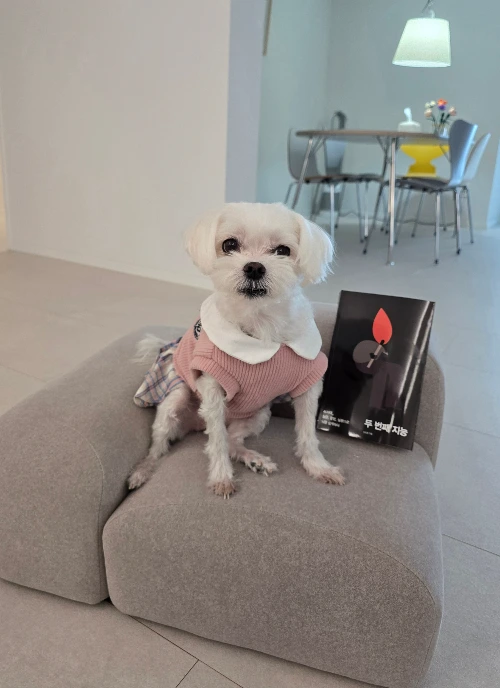 KakaoTalk_Photo_2026-01-24-23-27-53 001.jpeg