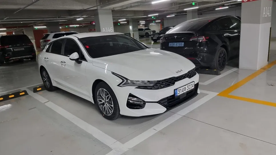 %EB%8B%A4%EC%9A%B4%EB%A1%9C%EB%93%9C.jpg?type=w966