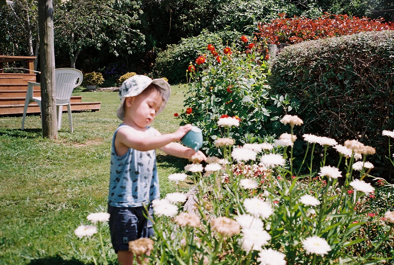 2023 아니타네 백가든에서 노는 모습_로이.JPG