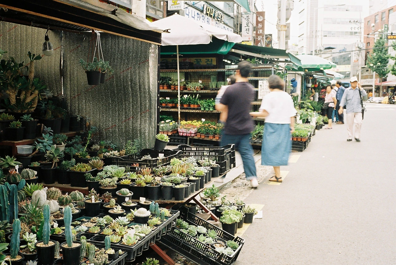 201708동대문_꽃시장5.JPG