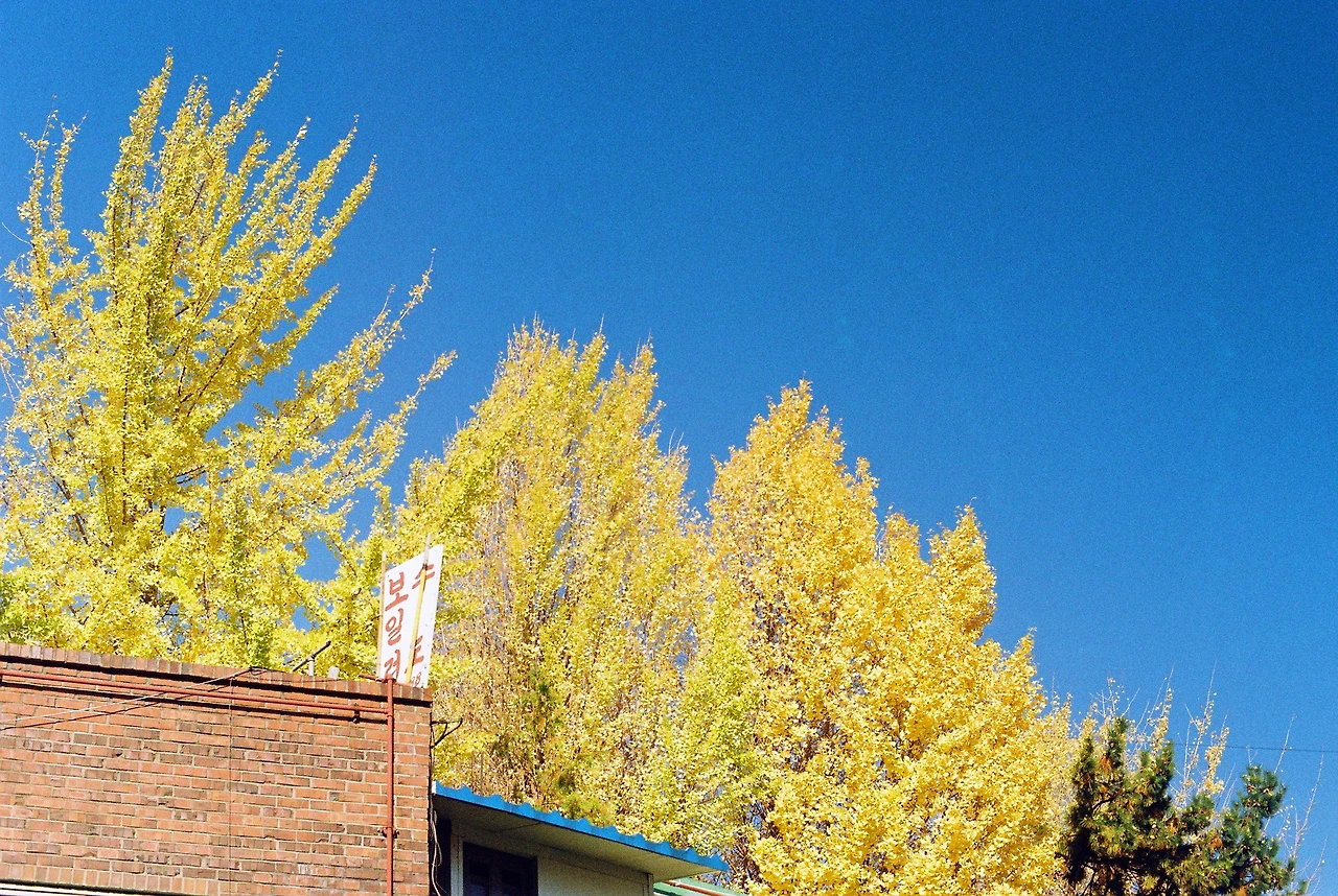 13_2013삼청동_원서동 사이_보일러수리.JPG