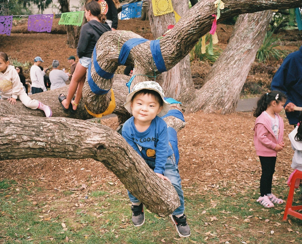 2024 시티 놀이터 나무 타기.JPG
