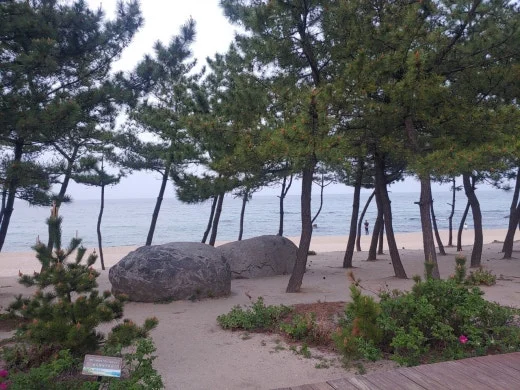 1_0eiUd018svc1b3ywzmt5yxok_oh6i9t.jpg?type=w520