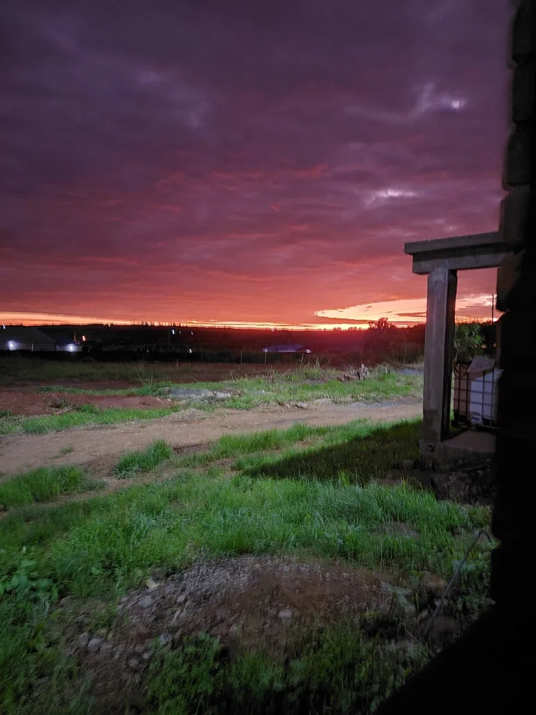 20220322_052058.jpg?type=w773