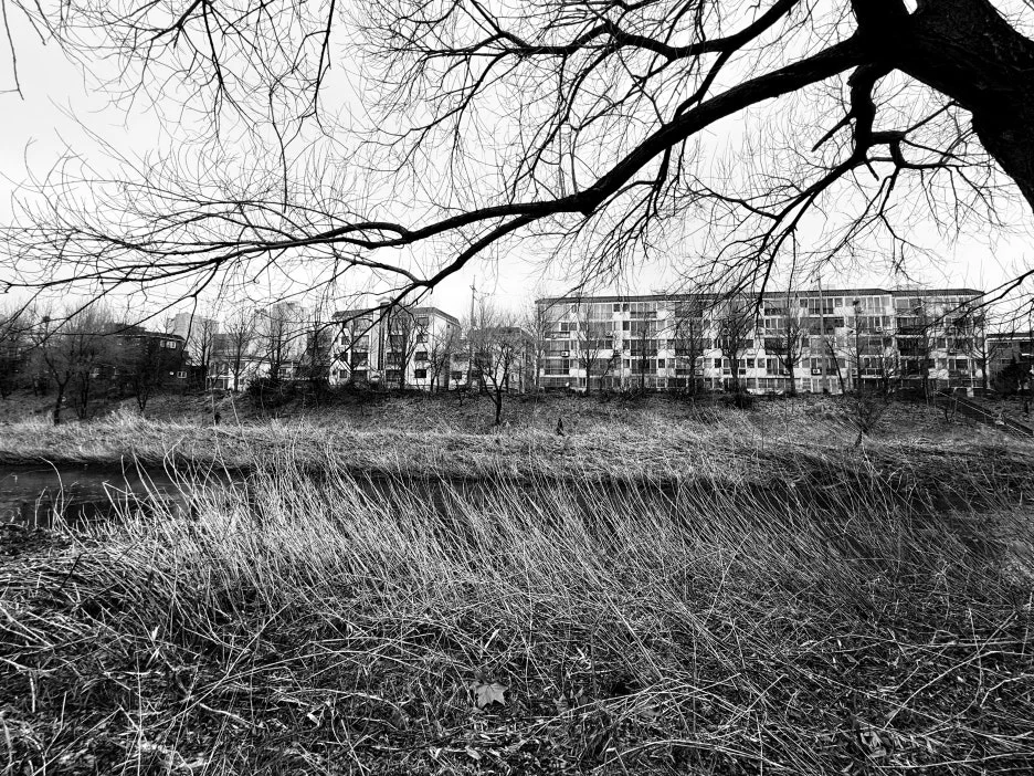 IMG_7226.jpg?type=w1