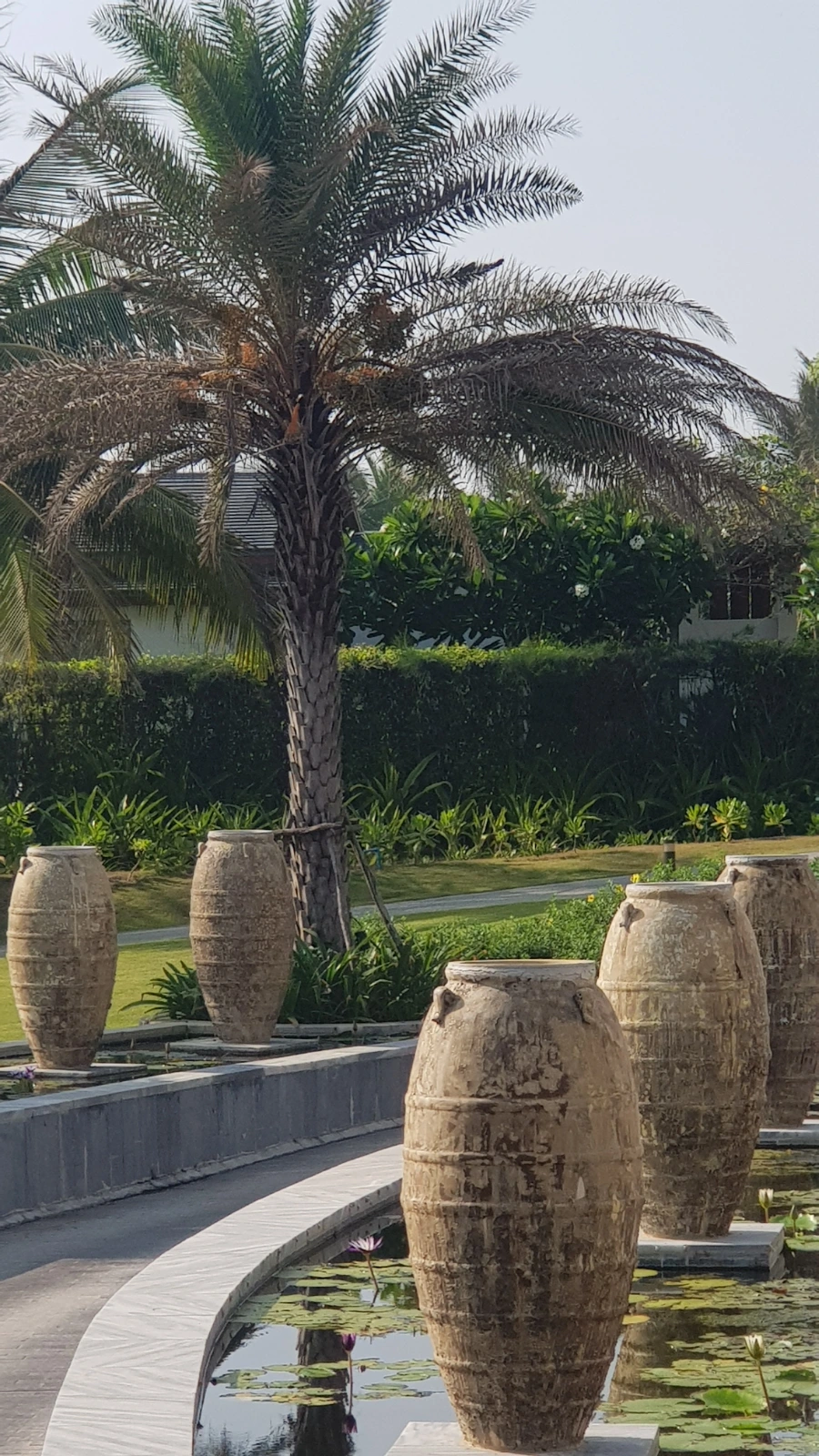 20230423%EF%BC%BF073911.jpg?type=w966