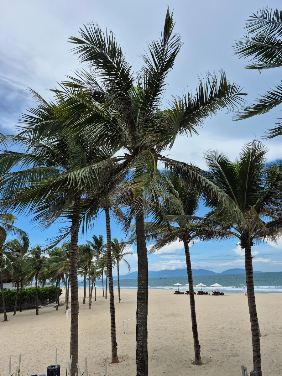 900%EF%BC%BF20250901%EF%BC%BF132238.jpg?type=w966