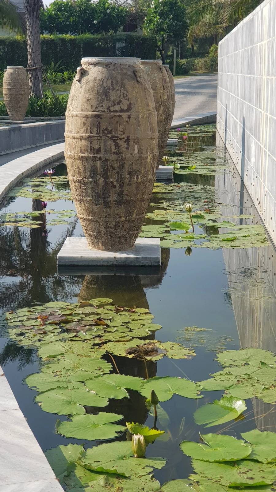 20230423%EF%BC%BF073940.jpg?type=w966