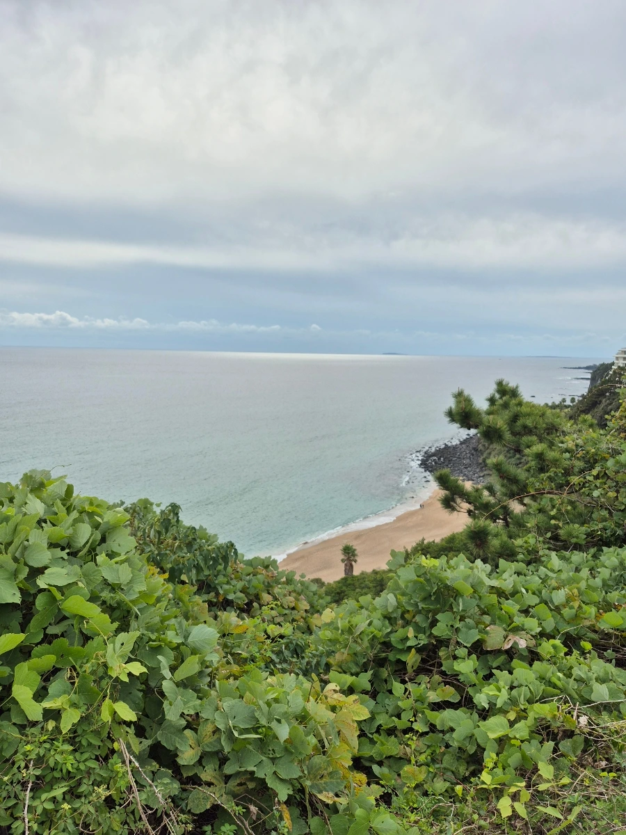 900%EF%BC%BF20251030%EF%BC%BF140547.jpg?type=w966