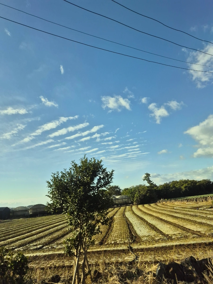 900%EF%BC%BF20251028%EF%BC%BF083016.jpg?type=w966