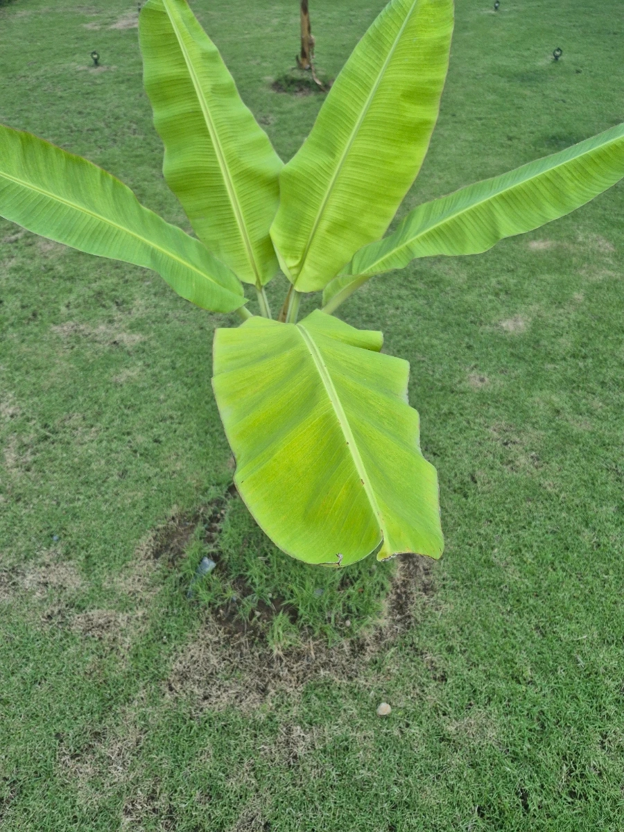 900%EF%BC%BF20260108%EF%BC%BF062853.jpg?type=w966