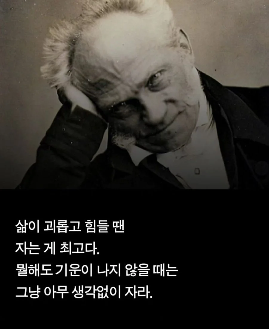 b7fb0e3f9d3091c724878e346800de43.jpg?type=w966