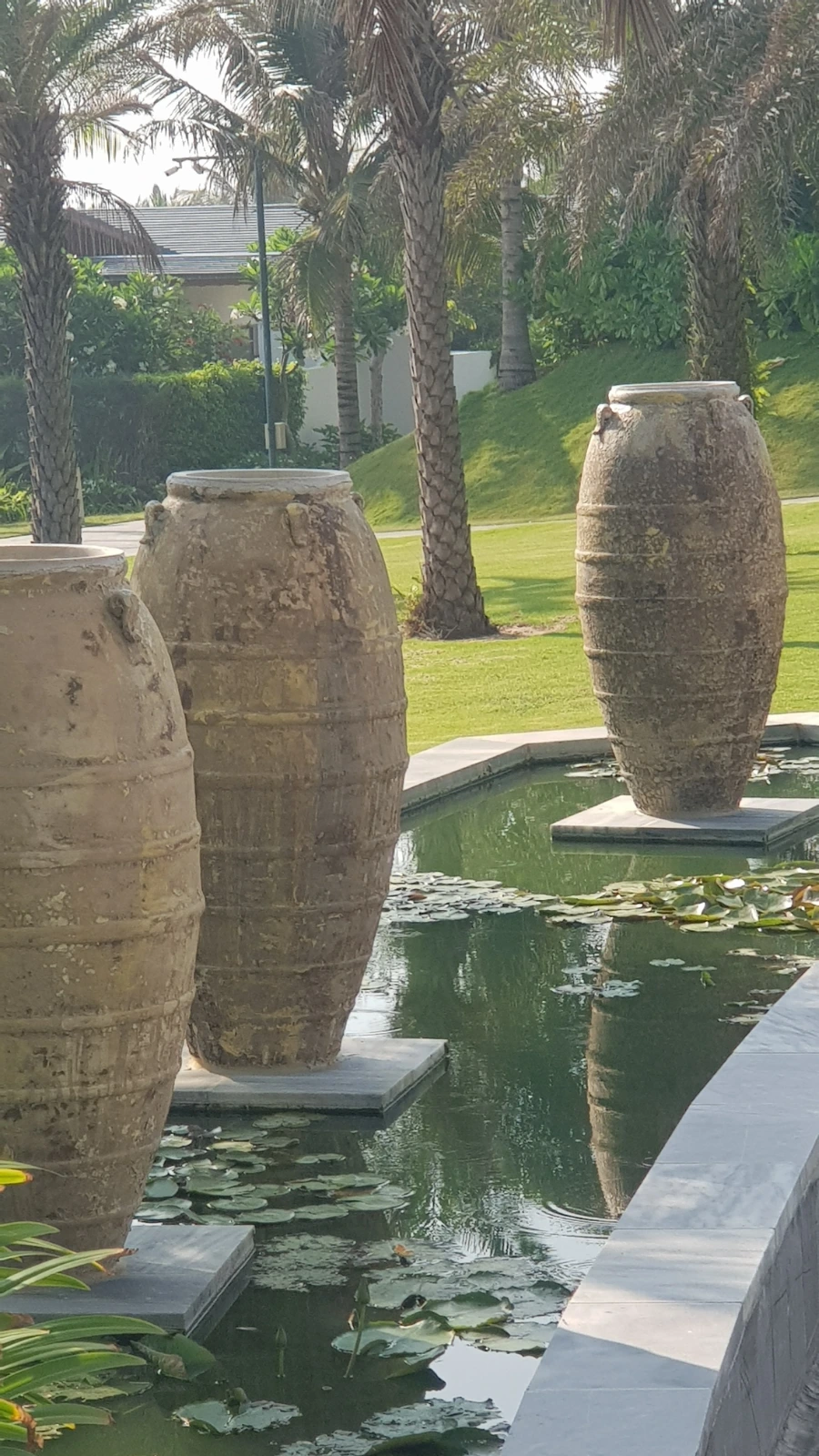 20230423%EF%BC%BF073919.jpg?type=w966