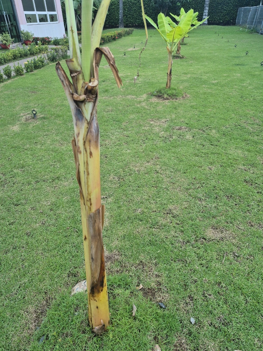 900%EF%BC%BF20260108%EF%BC%BF062830.jpg?type=w966