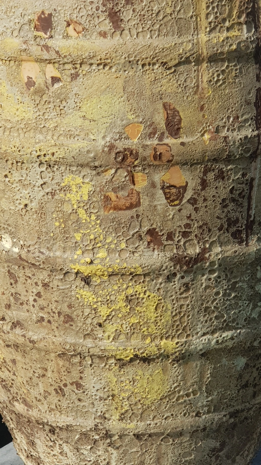 20230423%EF%BC%BF073932.jpg?type=w966