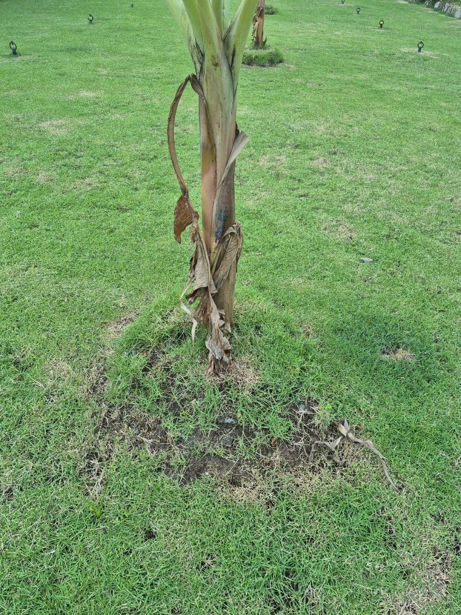 900%EF%BC%BF20260108%EF%BC%BF063100.jpg?type=w966