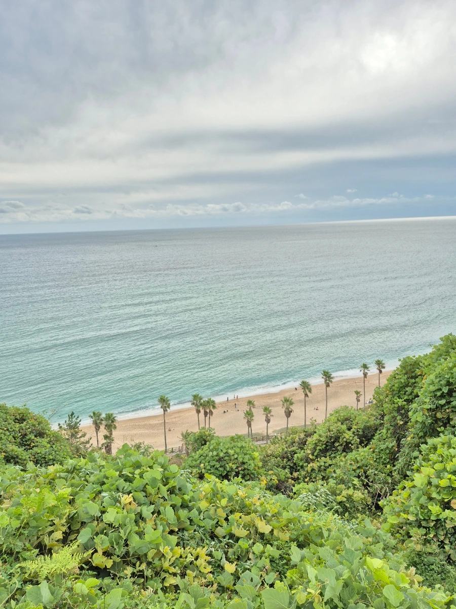 900%EF%BC%BF20251030%EF%BC%BF140414.jpg?type=w966