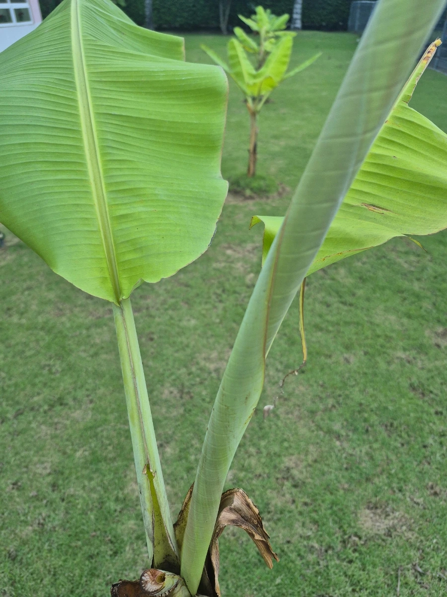 900%EF%BC%BF20260108%EF%BC%BF062842.jpg?type=w966